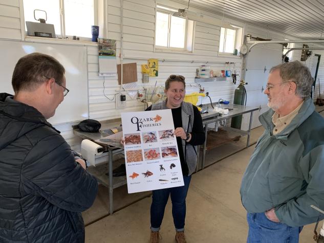 Ozark Fisheries | Goldfish and Koi