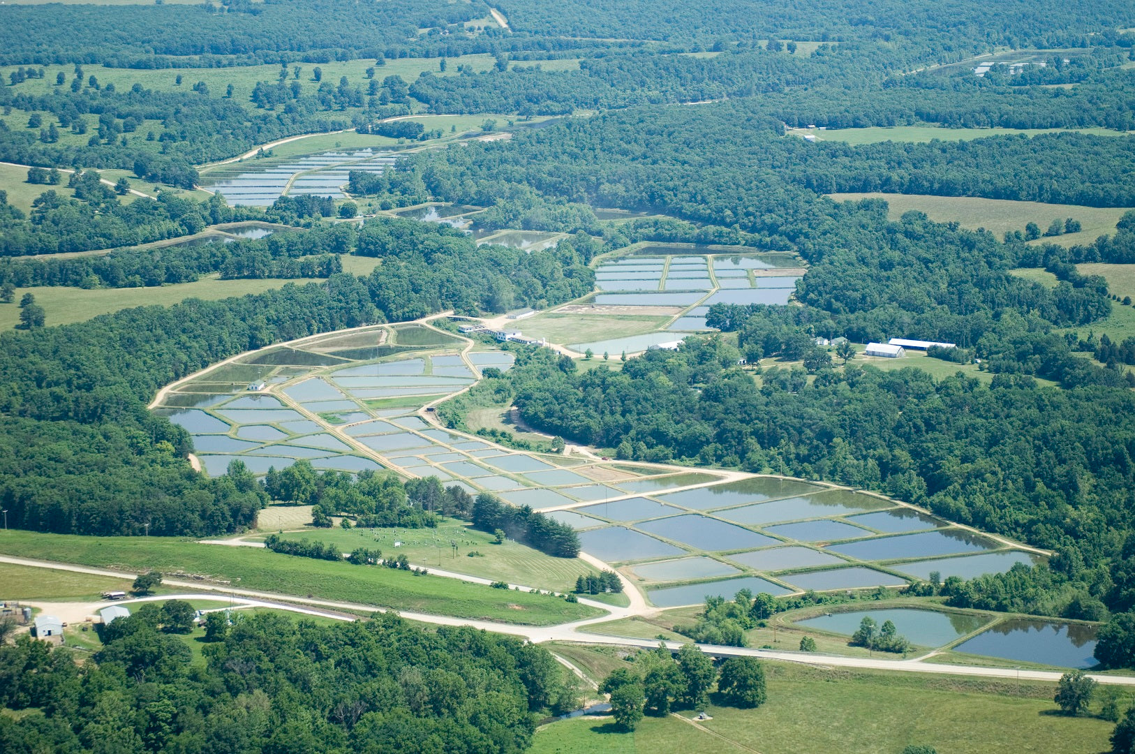 Ozark Fisheries fish Farm