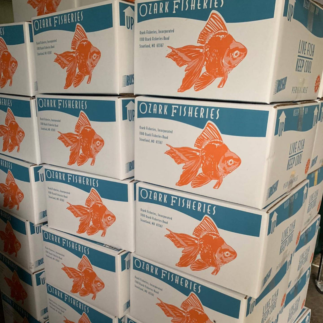 Ozark Fisheries Fish boxes