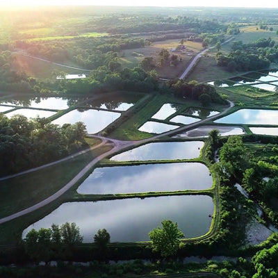 2025 FFA Fish Farm Group Tours
