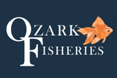 Ozark Fisheries logo with orange goldfish