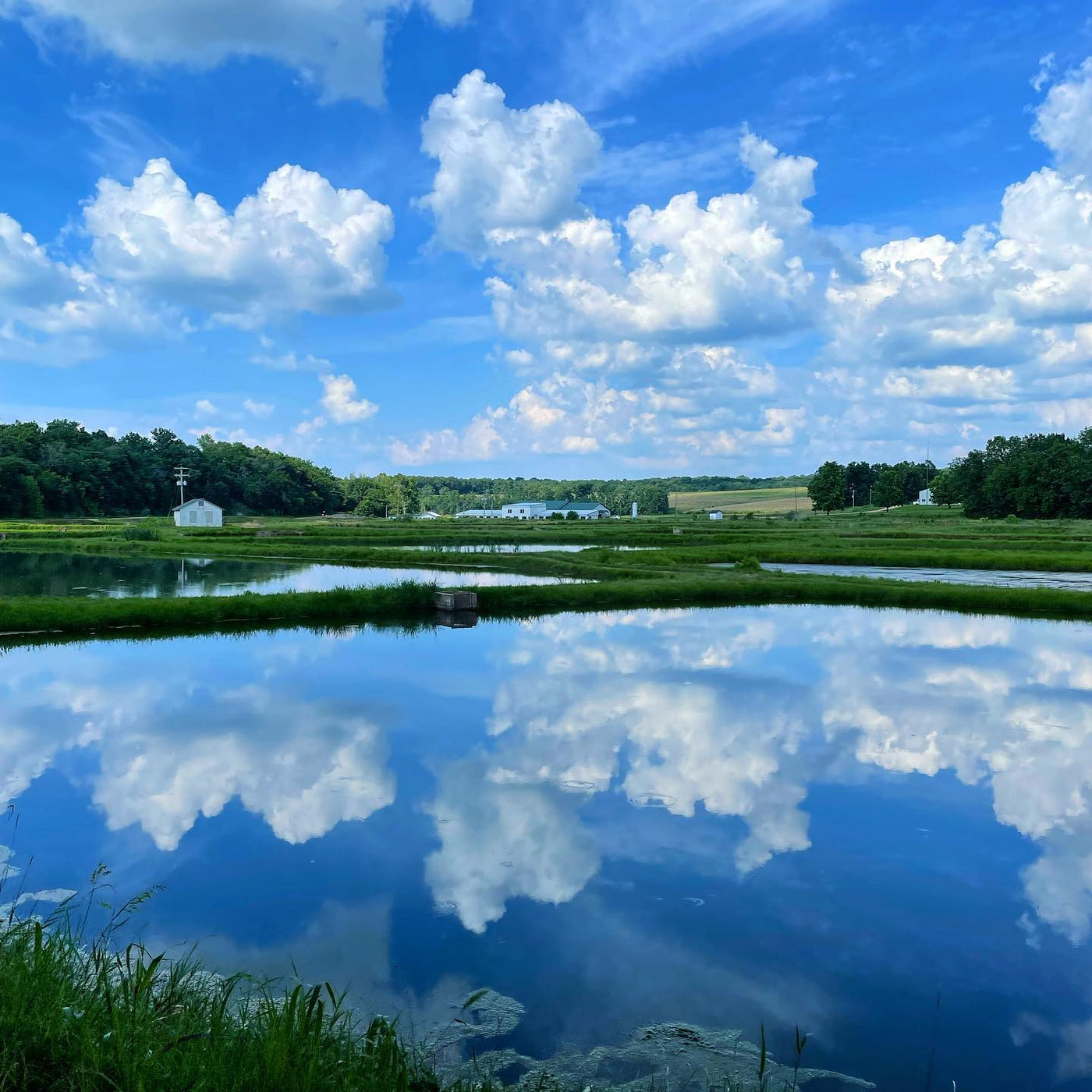 Ozark Fisheries water reflection picture