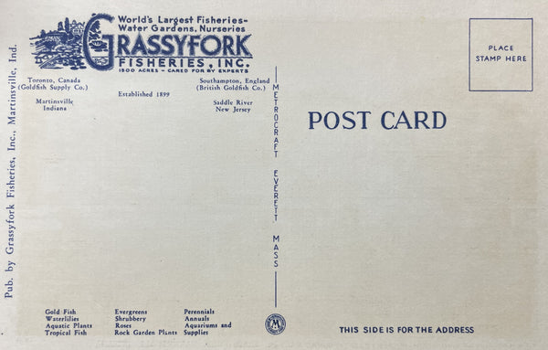 Grassyfork postcard back