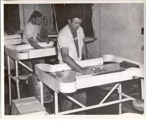 Ozark Fisheries Sorting fish