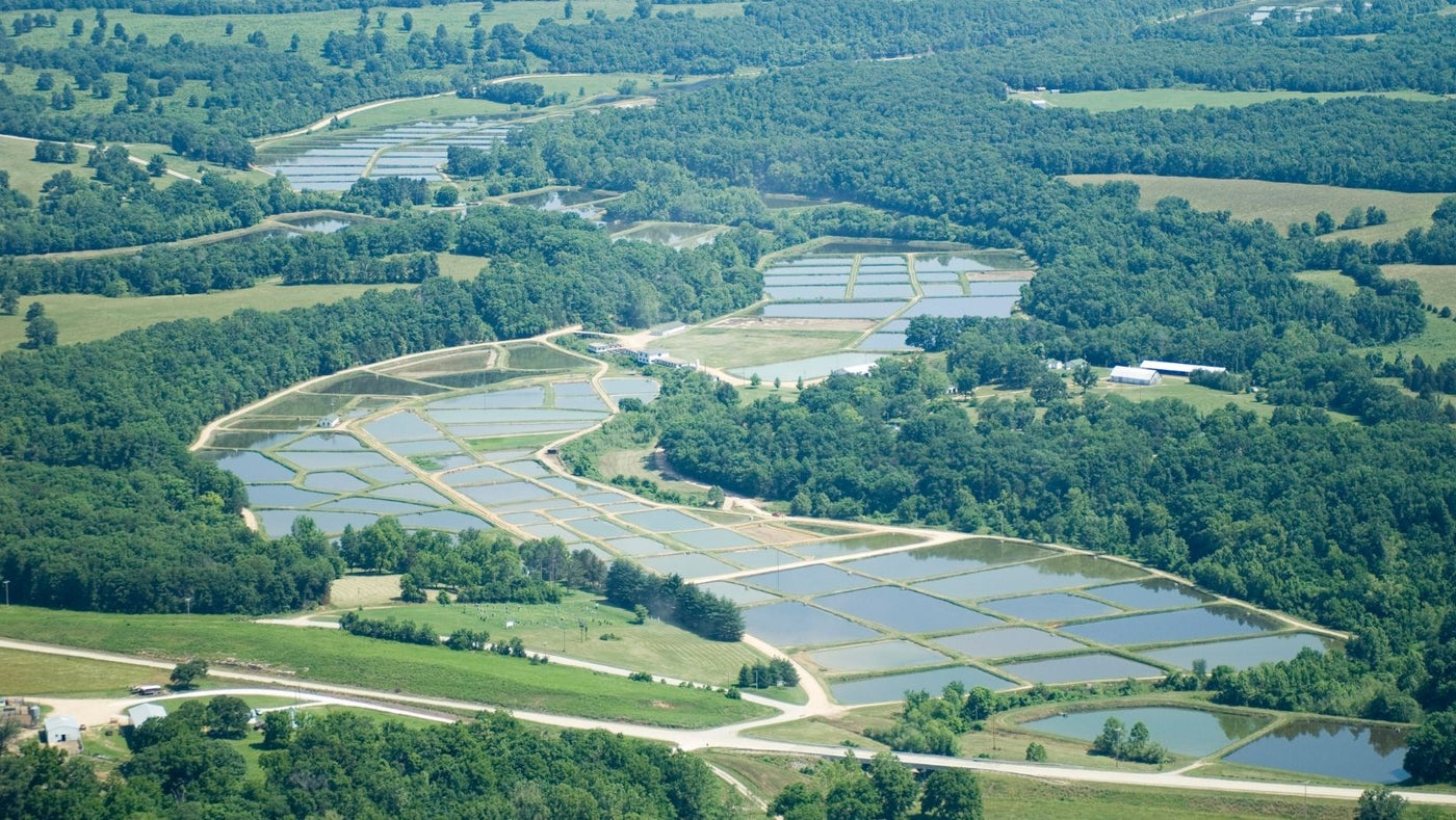 Ozark Fisheries Missouri Farm