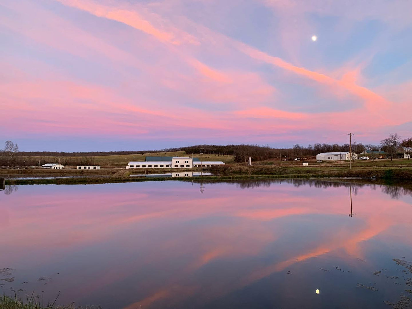 Ozark Fisheries pink skies over the ponds