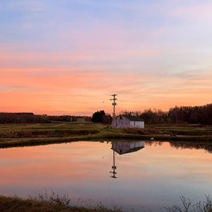 Ozark Fisheries sunset reflection