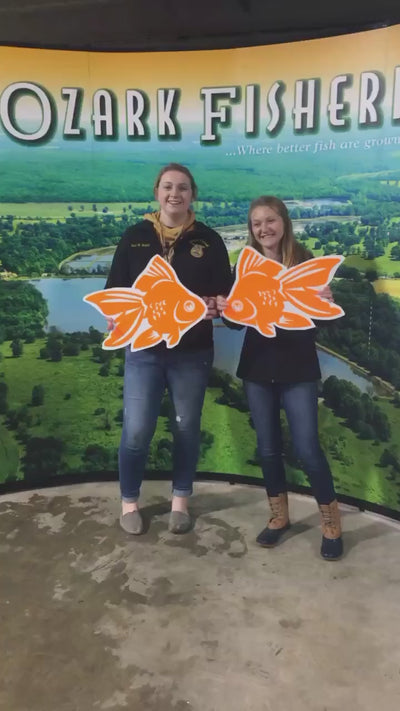 FFA Tours Promo Video