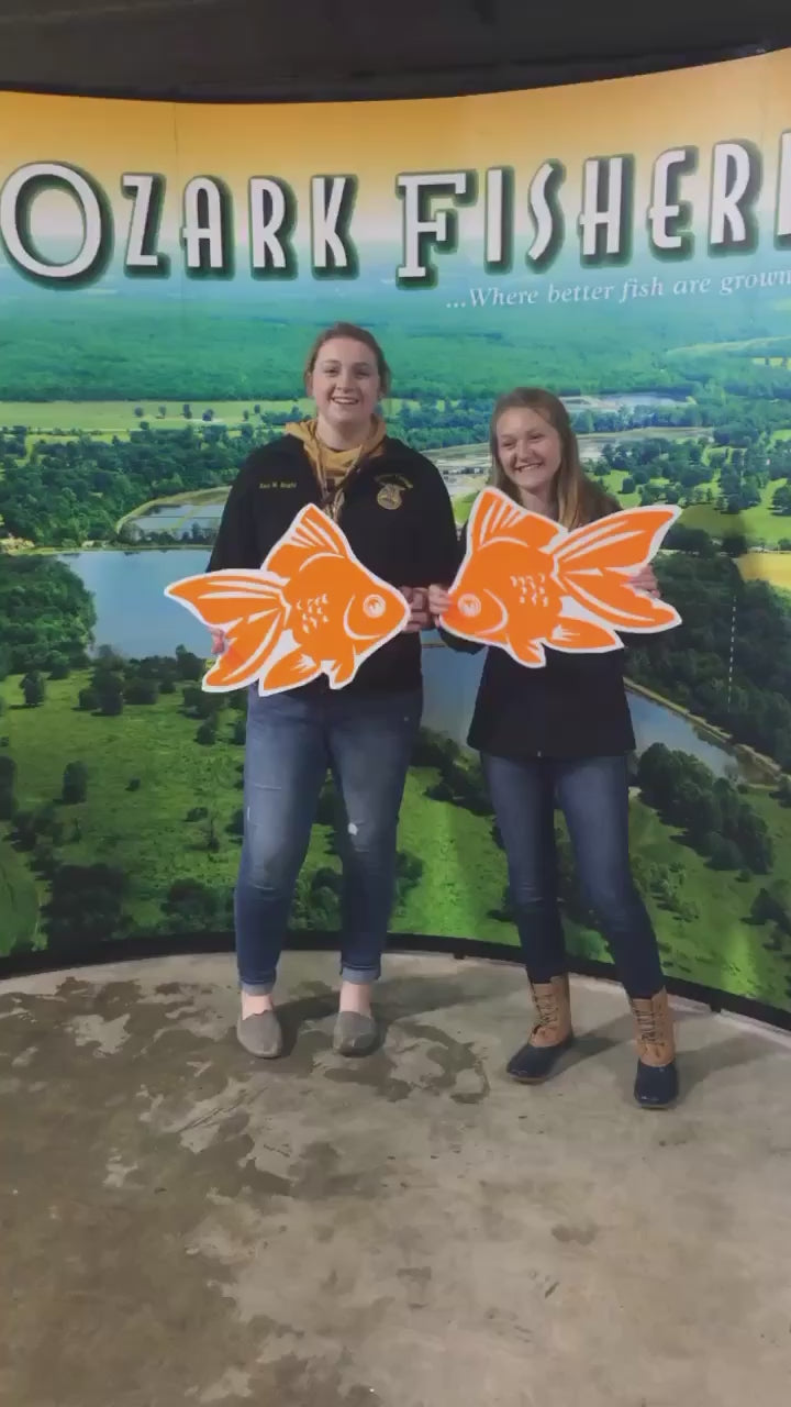 FFA Tours Promo Video