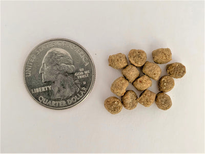 Ozark Fisheries Fish Food
