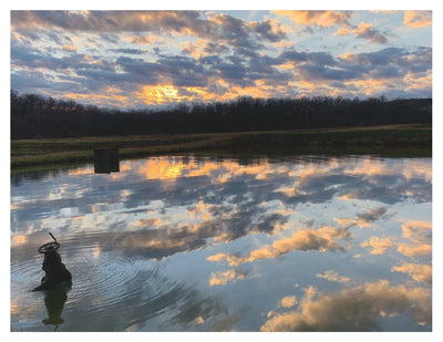 Ozark Fisheries Postcard scenic set by Margaret Cleveland