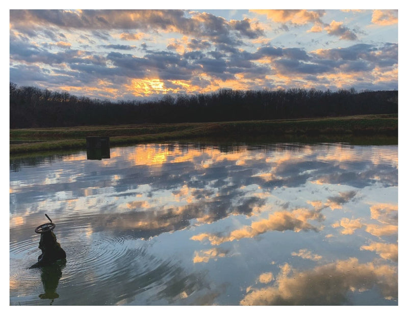 Ozark Fisheries Postcard scenic set by Margaret Cleveland