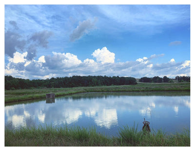 Ozark Fisheries Postcard scenic set by Margaret Cleveland
