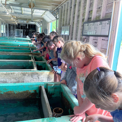 Ozark Fisheries FFA Fish Farm Tours